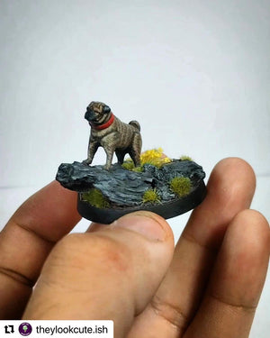 Animal Companions - 13 Minis Set