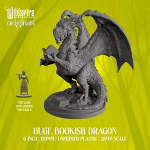 Bookish Dragon