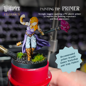 Fantasy Heroes: Mercenary Band I - 25 Minis