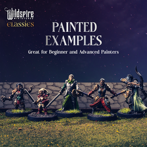 Fantasy Heroes: Mercenary Band II - 26 Minis