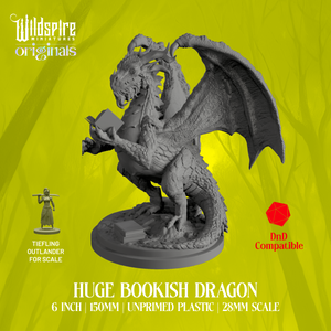 Bookish Dragon