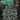 War Priests Set