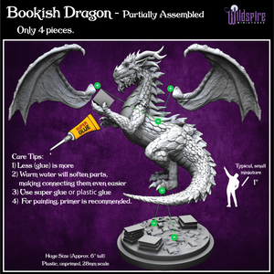 Bookish Dragon (Huge-size)