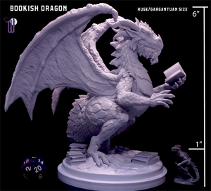 Bookish Dragon (Huge-size)